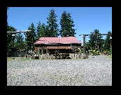 Next day on the way to Mt. Rainier, we got to make a return visit to Dan Klennart's ''Ex-Nihilo" sculpture park just outside Elbe. It's bigger and better than ever!